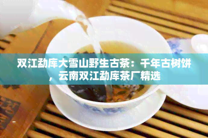 双江勐库大雪山野生古茶：千年古树饼，云南双江勐库茶厂精选