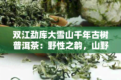 双江勐库大雪山千年古树普洱茶：野性之韵，山野品质