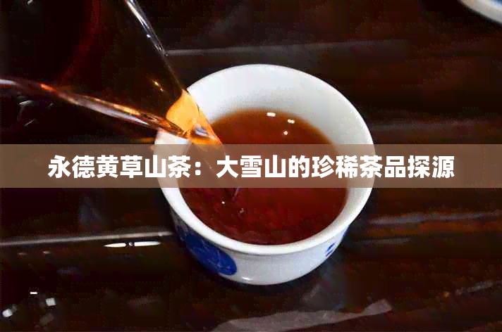 永德黄草山茶：大雪山的珍稀茶品探源