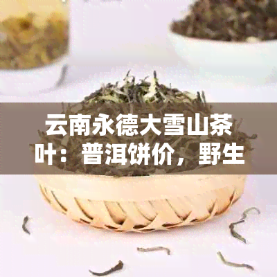 云南永德大雪山茶叶：普洱饼价，野生茶特点与古树茶价格