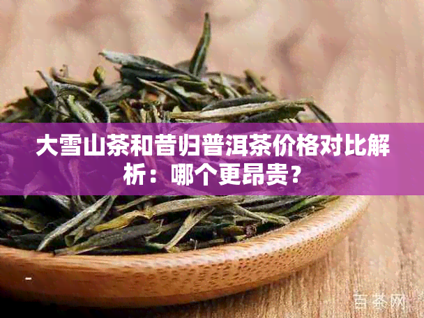 大雪山茶和昔归普洱茶价格对比解析：哪个更昂贵？