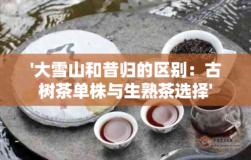 '大雪山和昔归的区别：古树茶单株与生熟茶选择'