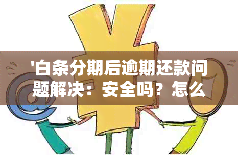 '白条分期后逾期还款问题解决：安全吗？怎么操作？'