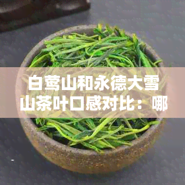 白莺山和永德大雪山茶叶口感对比：哪款茶更美味？