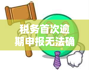 税务首次逾期申报无法确认