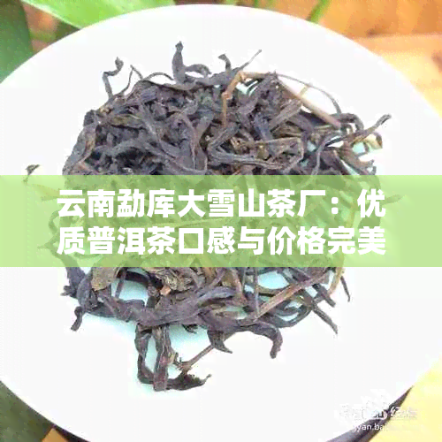 云南勐库大雪山茶厂：优质普洱茶口感与价格完美结合