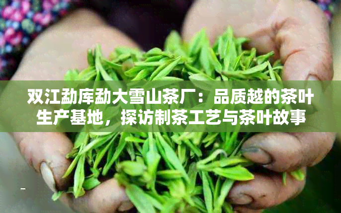 双江勐库勐大雪山茶厂：品质越的茶叶生产基地，探访制茶工艺与茶叶故事