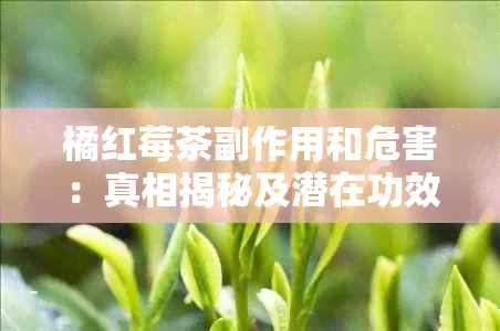 橘红莓茶副作用和危害：真相揭秘及潜在功效