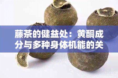 藤茶的健益处：黄酮成分与多种身体机能的关联研究