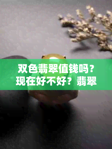 双色翡翠值钱吗？现在好不好？翡翠双色的价值观如何？