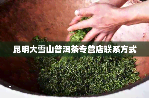 昆明大雪山普洱茶专营店联系方式