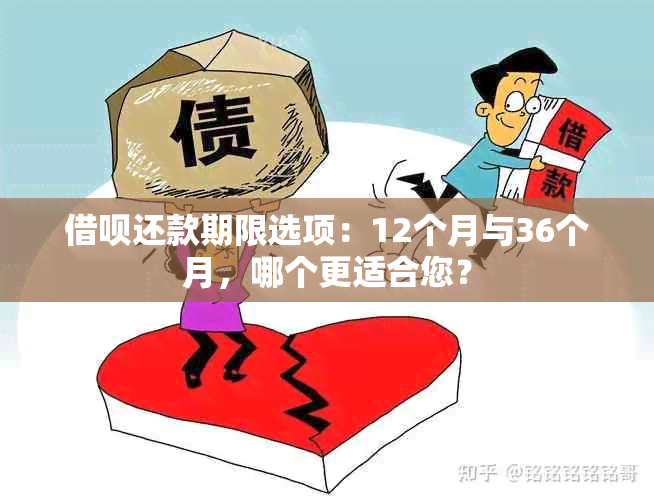 借呗还款期限选项：12个月与36个月，哪个更适合您？