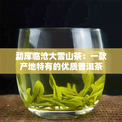 勐库临沧大雪山茶：一款产地特有的优质普洱茶