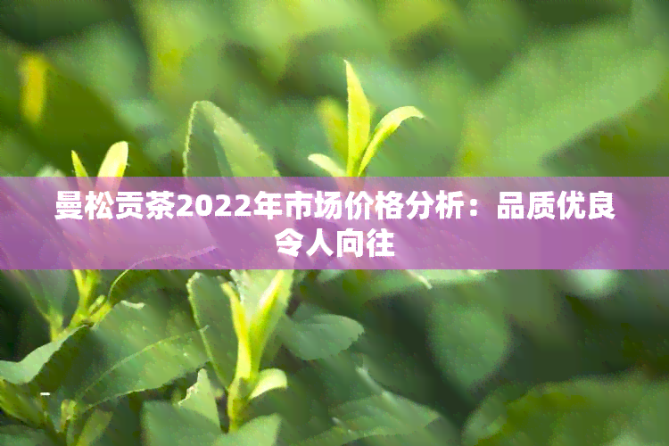 曼松贡茶2022年市场价格分析：品质优良令人向往