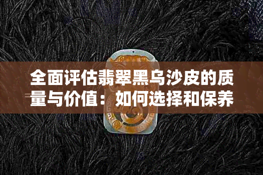 全面评估翡翠黑乌沙皮的质量与价值：如何选择和保养