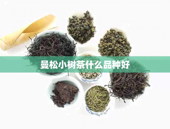 曼松小树茶什么品种好