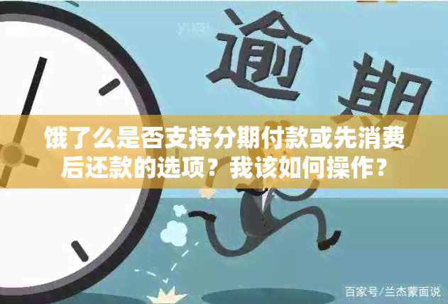 饿了么是否支持分期付款或先消费后还款的选项？我该如何操作？