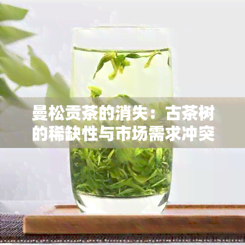 曼松贡茶的消失：古茶树的稀缺性与市场需求冲突