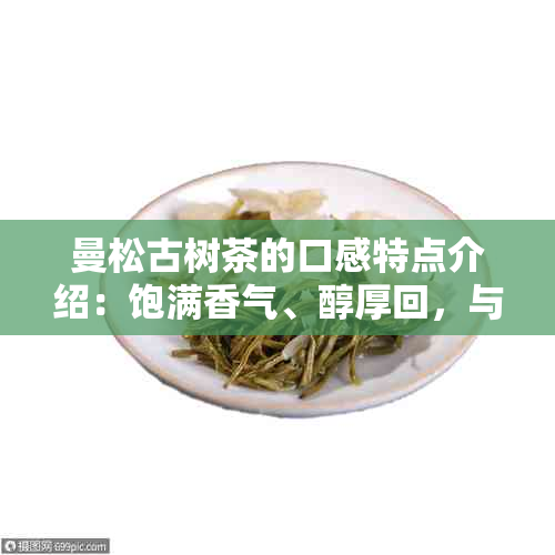 曼松古树茶的口感特点介绍：饱满香气、醇厚回，与茶园生态环境密切相关。