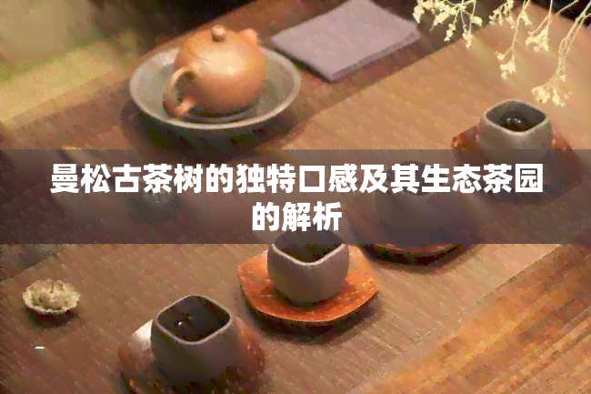 曼松古茶树的独特口感及其生态茶园的解析