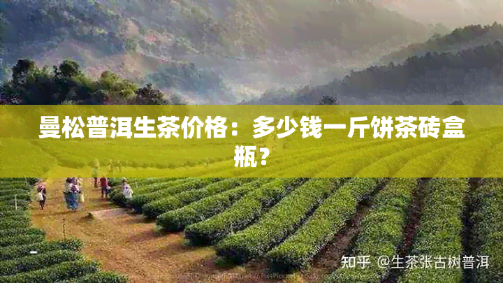 曼松普洱生茶价格：多少钱一斤饼茶砖盒瓶？