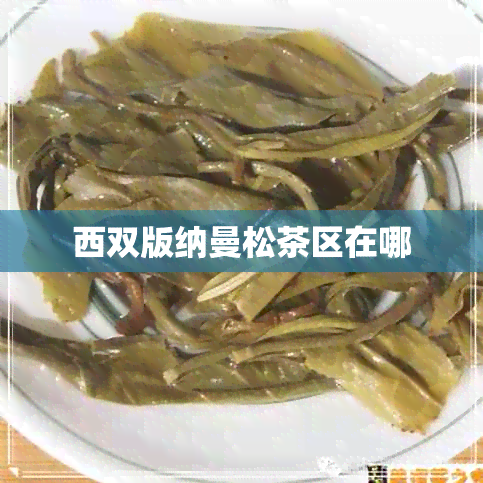 西双版纳曼松茶区在哪