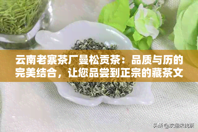 云南老寨茶厂曼松贡茶：品质与历的完美结合，让您品尝到正宗的藏茶文化