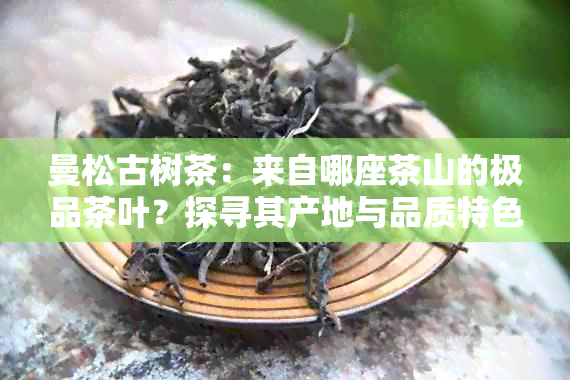 曼松古树茶：来自哪座茶山的极品茶叶？探寻其产地与品质特色