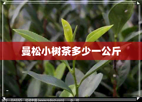 曼松小树茶多少一公斤