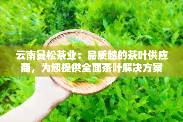 云南曼松茶业：品质越的茶叶供应商，为您提供全面茶叶解决方案