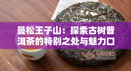 曼松王子山：探索古树普洱茶的特别之处与魅力口感