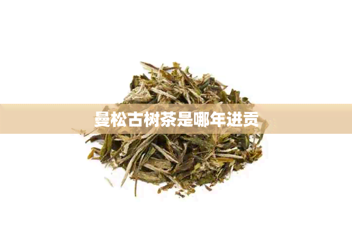 曼松古树茶是哪年进贡