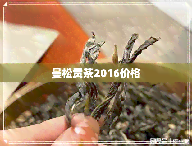 曼松贡茶2016价格