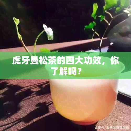 虎牙曼松茶的四大功效，你了解吗？