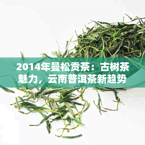 2014年曼松贡茶：古树茶魅力，云南普洱茶新趋势