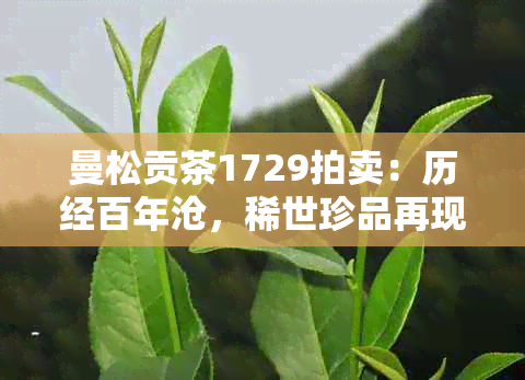 曼松贡茶1729拍卖：历经百年沧，稀世珍品再现江湖