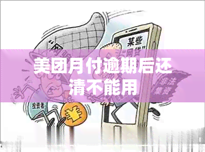 美团月付逾期后还清不能用