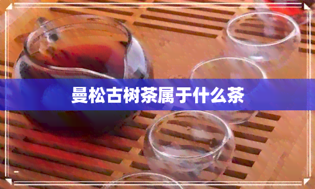 曼松古树茶属于什么茶