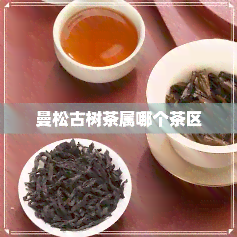 曼松古树茶属哪个茶区