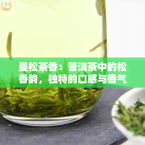 曼松茶香：普洱茶中的松香韵，独特的口感与香气解析