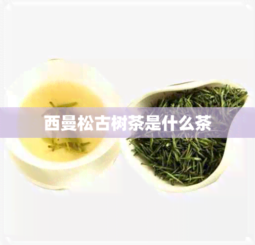 西曼松古树茶是什么茶