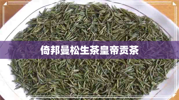 倚邦曼松生茶皇帝贡茶