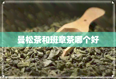 曼松茶和班章茶哪个好