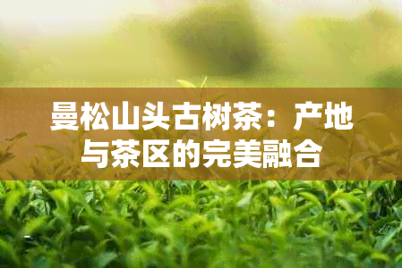 曼松山头古树茶：产地与茶区的完美融合