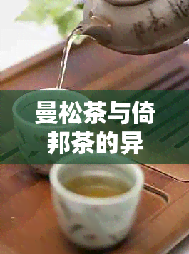 曼松茶与倚邦茶的异同解析：从品种、产地、口感及价值方面进行对比