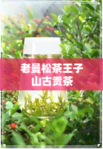 老曼松茶王子山古贡茶