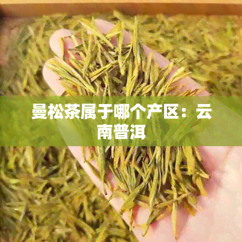 曼松茶属于哪个产区：云南普洱