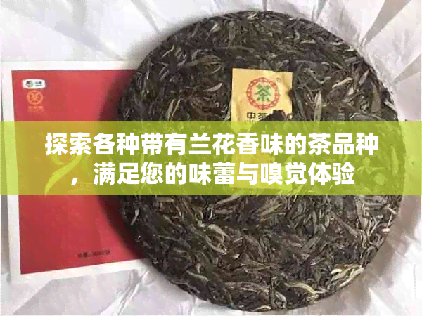 探索各种带有兰花香味的茶品种，满足您的味蕾与嗅觉体验