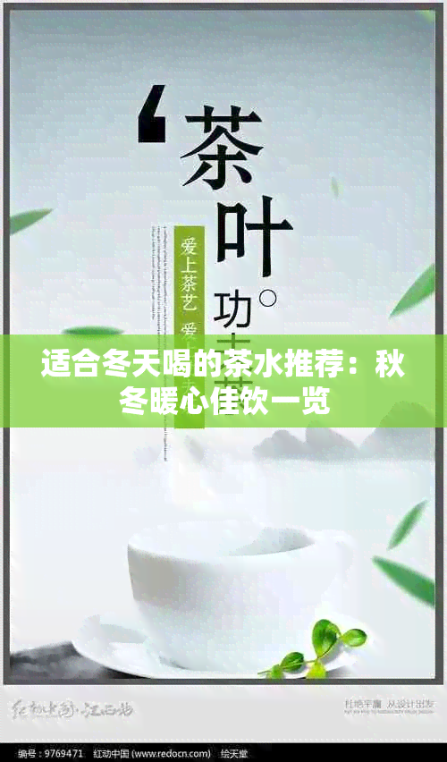 适合冬天喝的茶水推荐：秋冬暖心佳饮一览