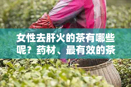 女性去肝火的茶有哪些呢？材、最有效的茶和，以及相关的蔬菜食物